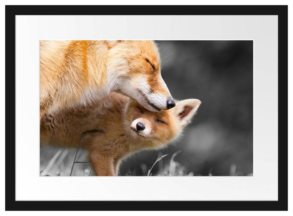 Pixxprint süße kuschelnden Füchse, im Galerie-Passepartout Bilderrahmen Bis zu 65% Rabatt