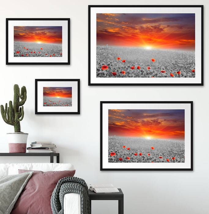 Pixxprint wunderschönes Mohnblütenfeld, im Galerie-Passepartout Bilderrahmen Discount Store für neue Produkte