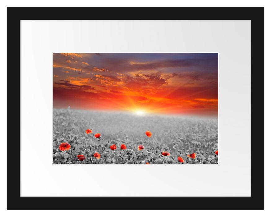Pixxprint wunderschönes Mohnblütenfeld, im Galerie-Passepartout Bilderrahmen Discount Store für neue Produkte
