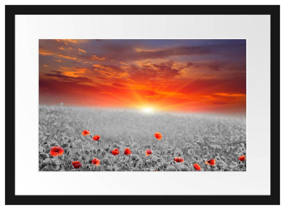 Pixxprint wunderschönes Mohnblütenfeld, im Galerie-Passepartout Bilderrahmen Discount Store für neue Produkte