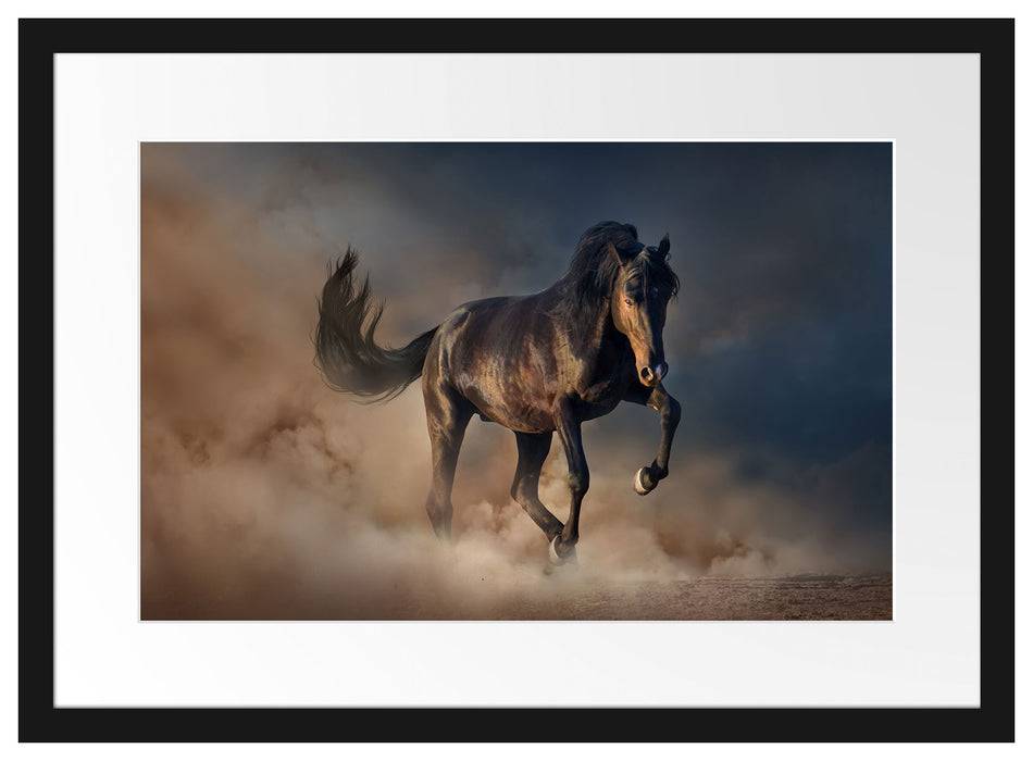 Pixxprint Schwarzes Pferd, im Galerie-Passepartout Bilderrahmen Clearance-Verkauf