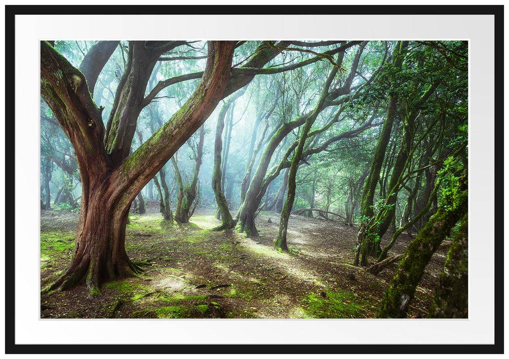 Pixxprint Wald, im Galerie-Passepartout Bilderrahmen Kostenloser Versand international