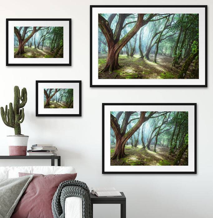 Pixxprint Wald, im Galerie-Passepartout Bilderrahmen Kostenloser Versand international