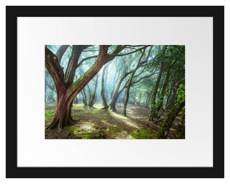 Pixxprint Wald, im Galerie-Passepartout Bilderrahmen Kostenloser Versand international