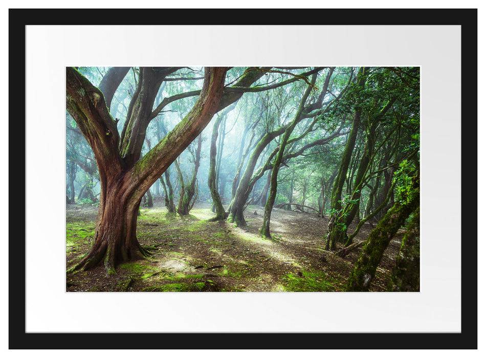 Pixxprint Wald, im Galerie-Passepartout Bilderrahmen Kostenloser Versand international