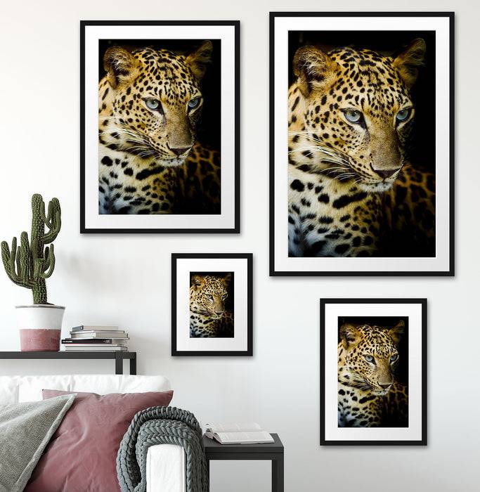 Pixxprint Leopard mit blauen Augen, im Galerie-Passepartout Bilderrahmen Im Verkauf