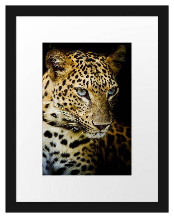 Pixxprint Leopard mit blauen Augen, im Galerie-Passepartout Bilderrahmen Im Verkauf