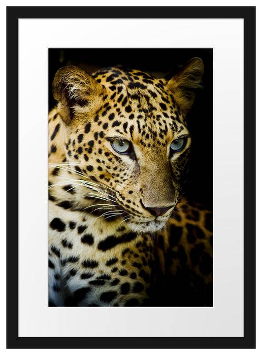Pixxprint Leopard mit blauen Augen, im Galerie-Passepartout Bilderrahmen Im Verkauf