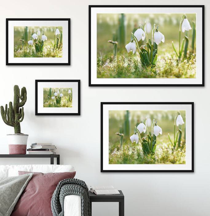 Pixxprint Maiglöckchen, im Galerie-Passepartout Bilderrahmen 50% Rabatt für begrenzte Zeit