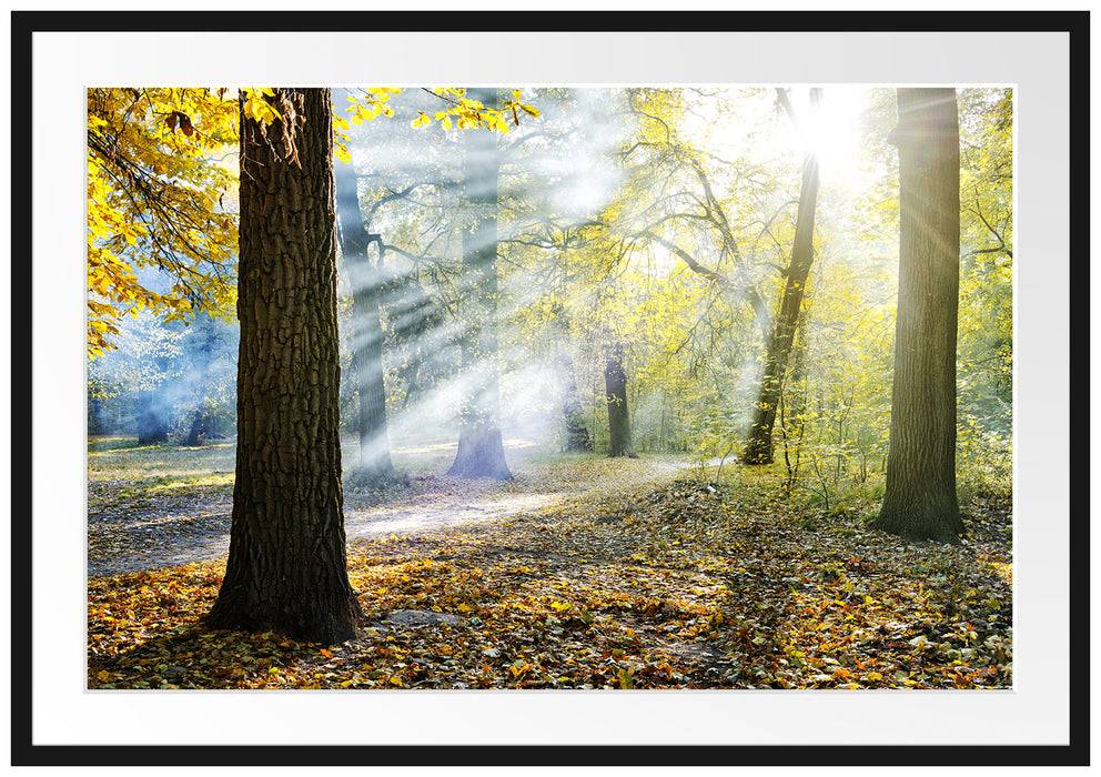 Pixxprint Sonnenstrahlen im Wald, im Galerie-Passepartout Bilderrahmen
