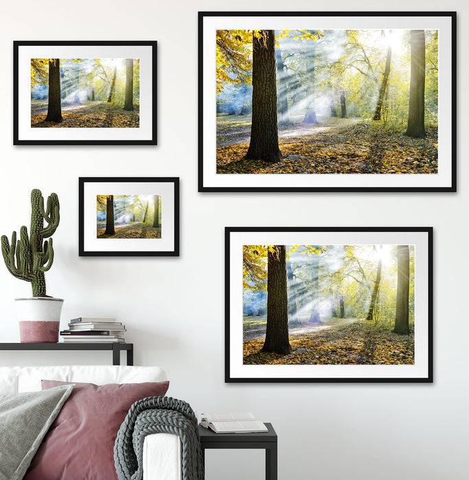 Pixxprint Sonnenstrahlen im Wald, im Galerie-Passepartout Bilderrahmen Online