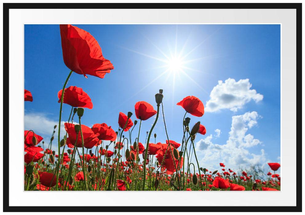 Pixxprint Mohnblumen, im Galerie-Passepartout Bilderrahmen