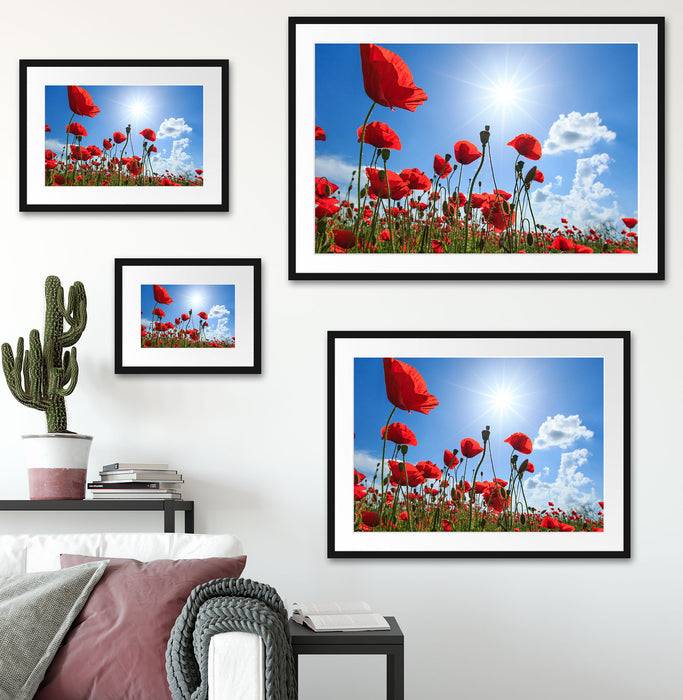 Pixxprint Mohnblumen, im Galerie-Passepartout Bilderrahmen Outlet