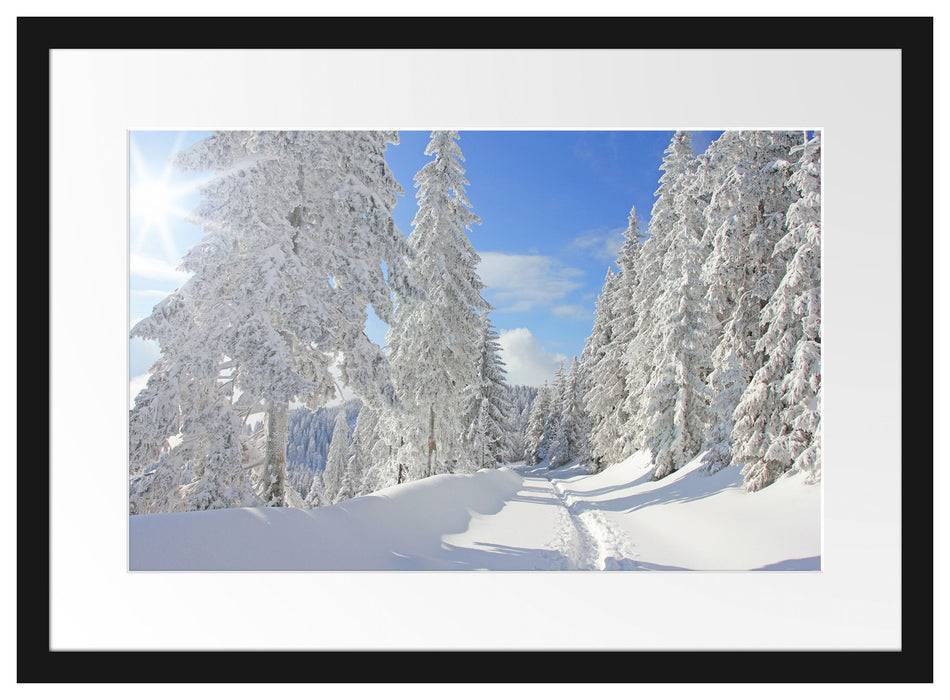 Pixxprint Winterlandschaft Bäume, im Galerie-Passepartout Bilderrahmen Angebote