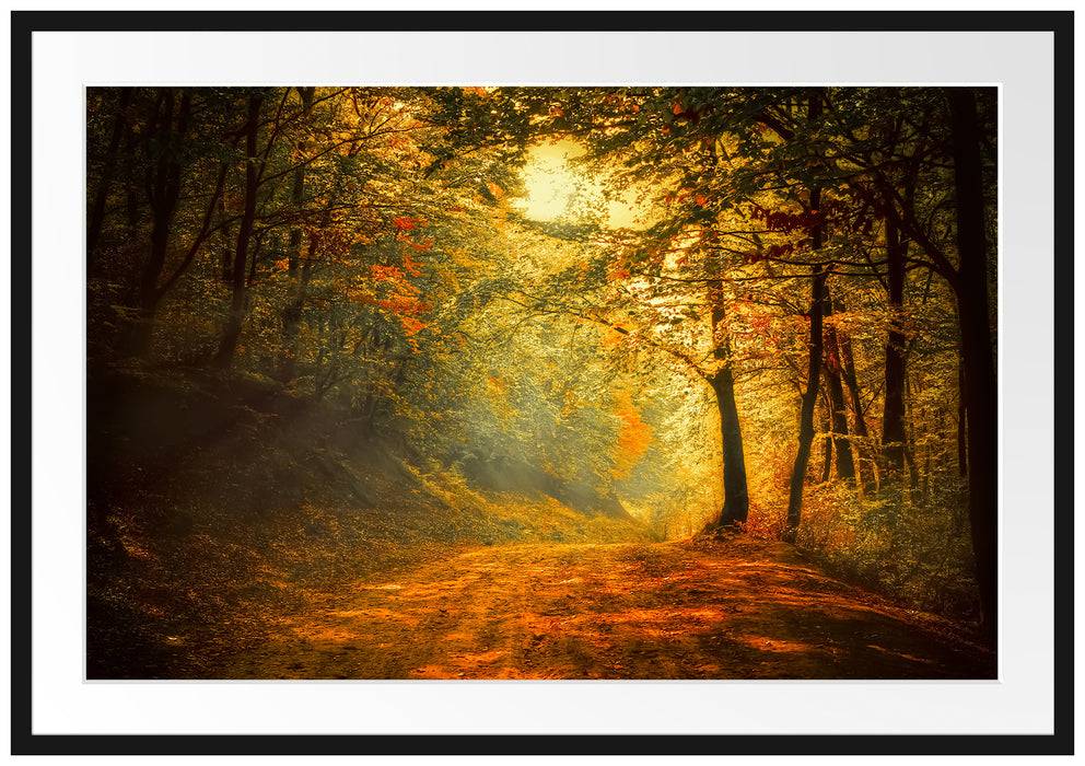 Pixxprint Wald Landschaft, im Galerie-Passepartout Bilderrahmen