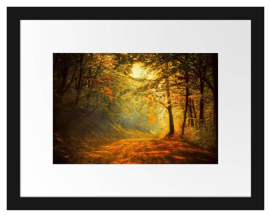 Pixxprint Wald Landschaft, im Galerie-Passepartout Bilderrahmen im Angebot