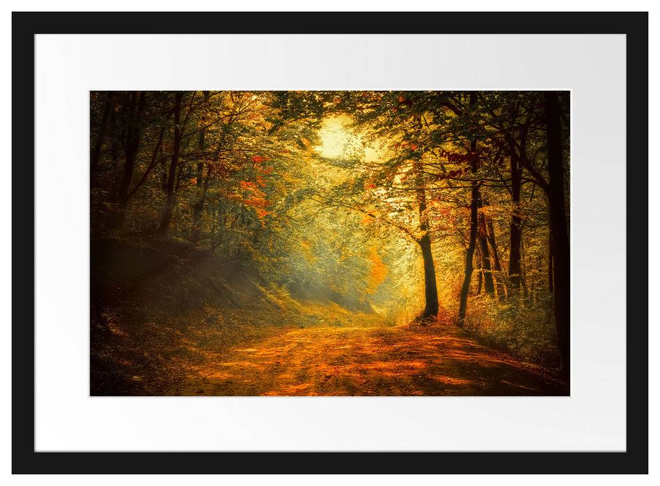 Pixxprint Wald Landschaft, im Galerie-Passepartout Bilderrahmen im Angebot