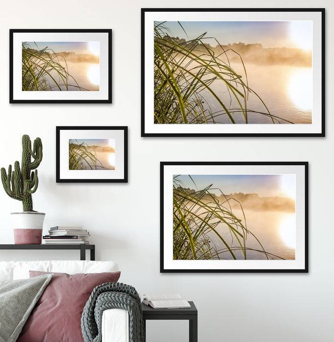 Pixxprint Schilf am See, im Galerie-Passepartout Bilderrahmen Kostenloser Versand