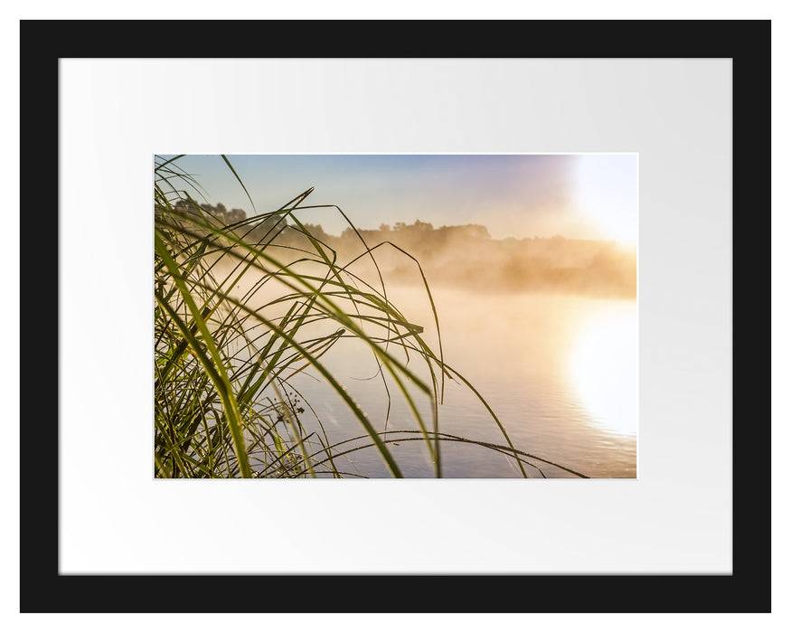 Pixxprint Schilf am See, im Galerie-Passepartout Bilderrahmen Kostenloser Versand