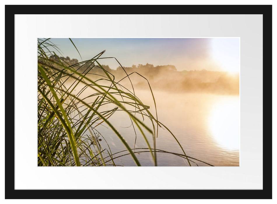 Pixxprint Schilf am See, im Galerie-Passepartout Bilderrahmen Kostenloser Versand