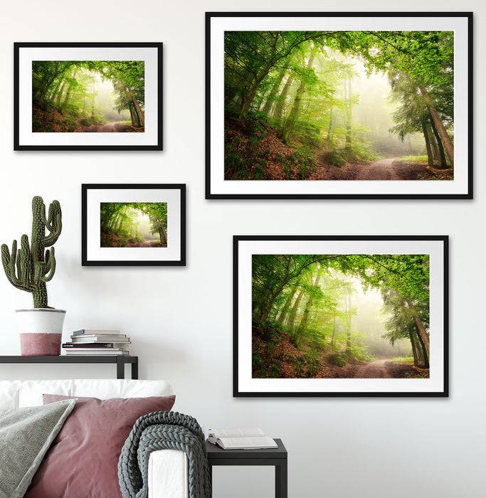 Pixxprint Sonnenstrahlen Waldweg, im Galerie-Passepartout Bilderrahmen Günstig kaufen