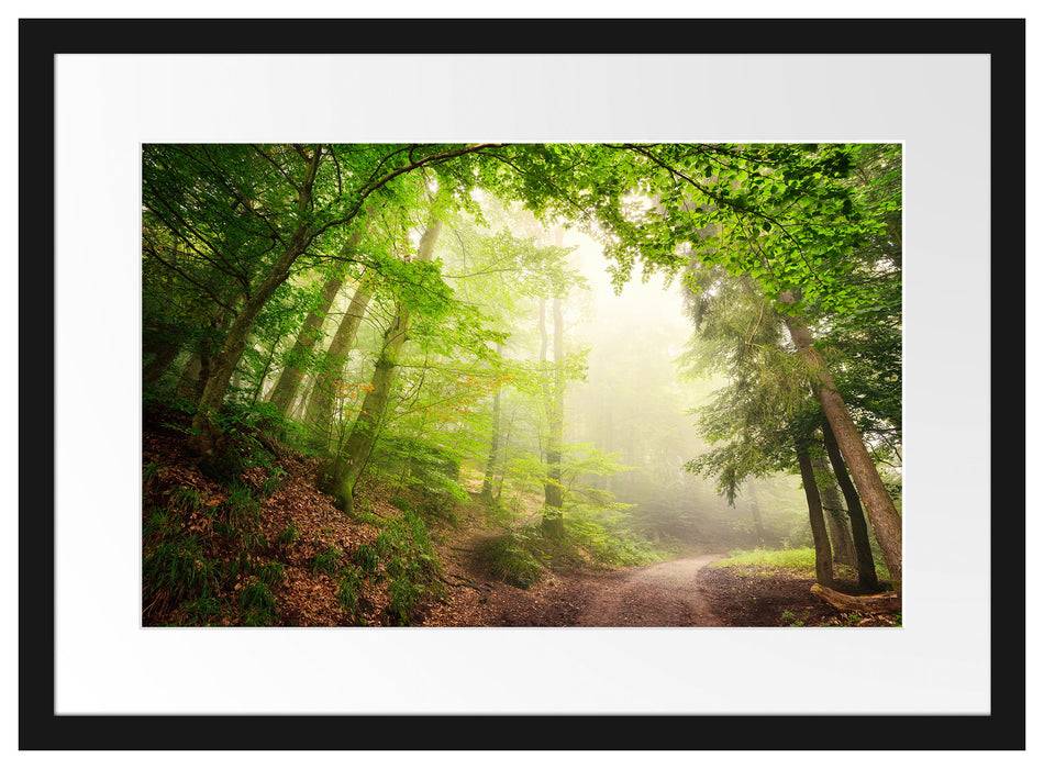Pixxprint Sonnenstrahlen Waldweg, im Galerie-Passepartout Bilderrahmen Günstig kaufen