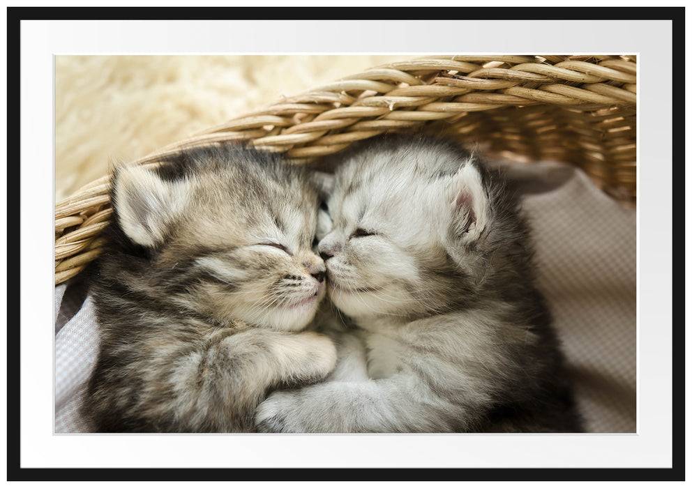 Pixxprint Baby Katze, im Galerie-Passepartout Bilderrahmen