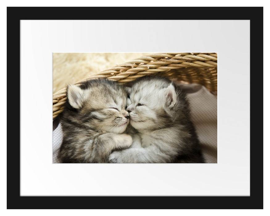 Pixxprint Baby Katze, im Galerie-Passepartout Bilderrahmen Großer Ausverkauf