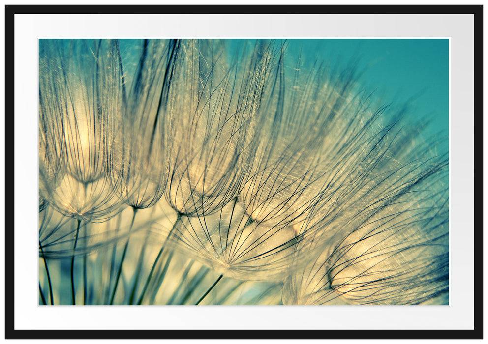Pixxprint Pusteblumen, im Galerie-Passepartout Bilderrahmen