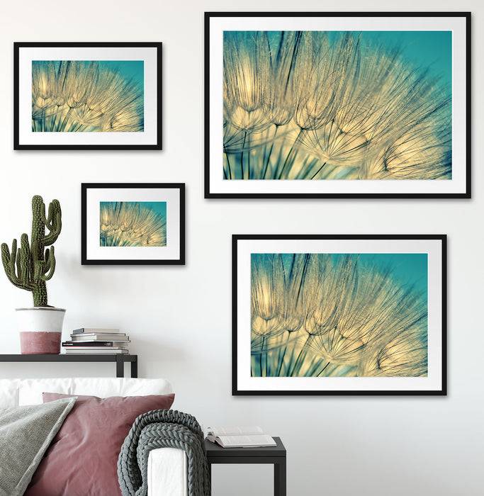 Pixxprint Pusteblumen, im Galerie-Passepartout Bilderrahmen Flash Sale