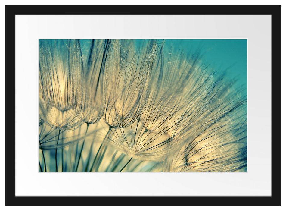 Pixxprint Pusteblumen, im Galerie-Passepartout Bilderrahmen Flash Sale