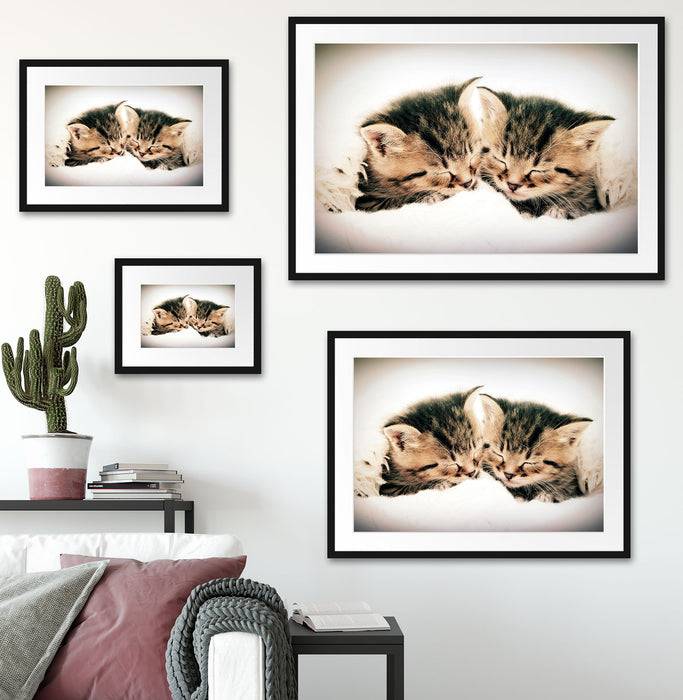 Pixxprint Katzen Herzform, im Galerie-Passepartout Bilderrahmen Begrenztes Angebot