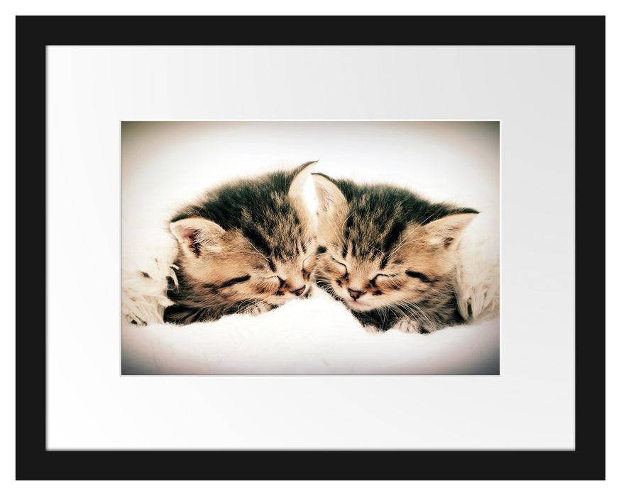 Pixxprint Katzen Herzform, im Galerie-Passepartout Bilderrahmen Begrenztes Angebot
