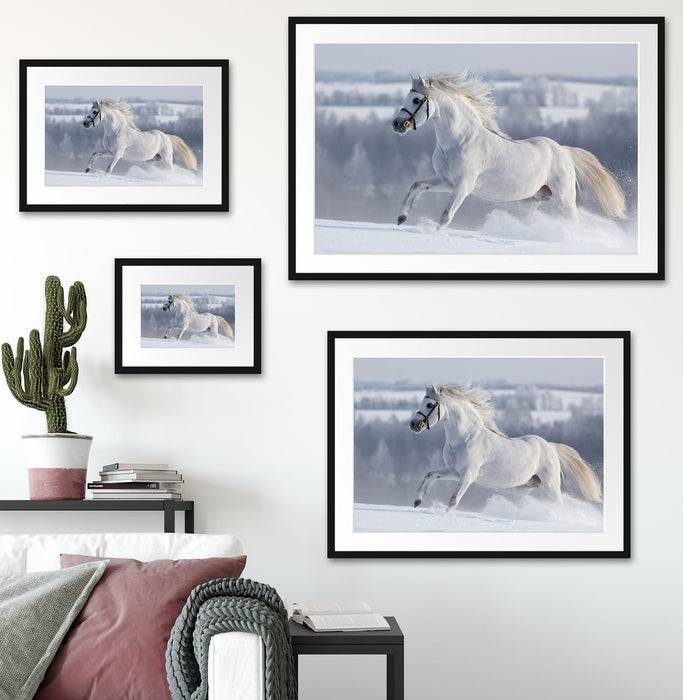 Pixxprint Weißes Pferd auf Schneewiese, im Galerie-Passepartout Bilderrahmen Exklusivangebot