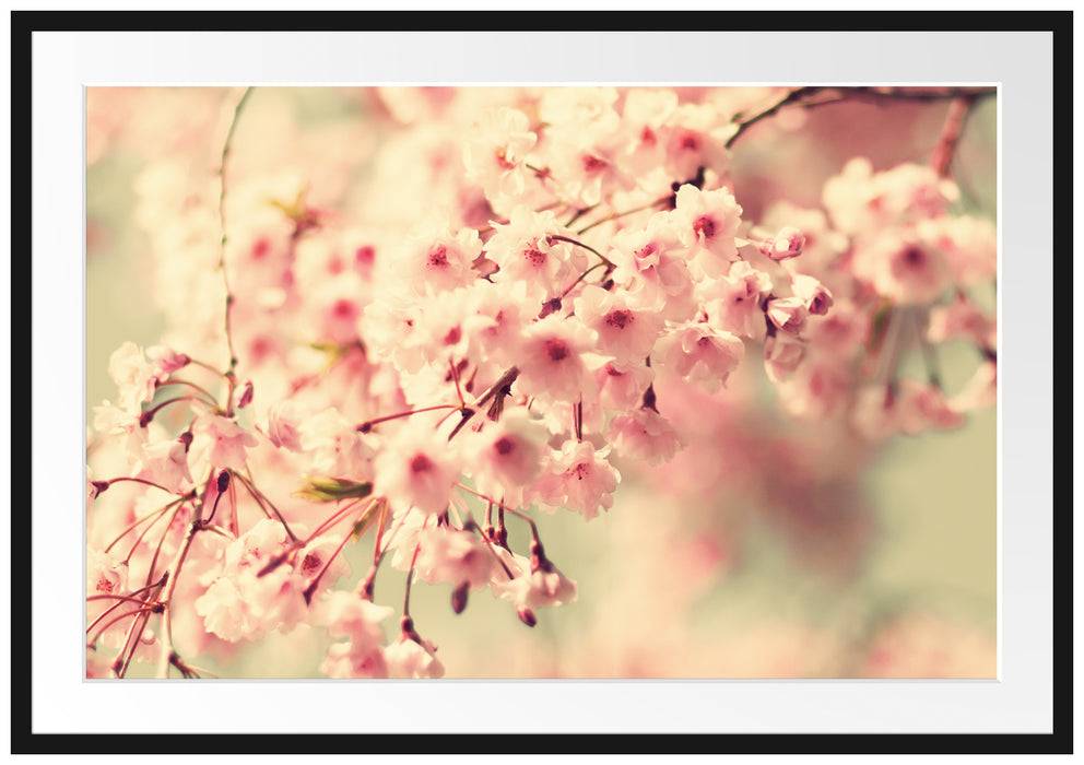 Pixxprint Kirschblüten, im Galerie-Passepartout Bilderrahmen Black Friday