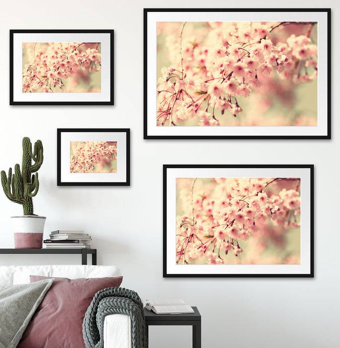 Pixxprint Kirschblüten, im Galerie-Passepartout Bilderrahmen Black Friday