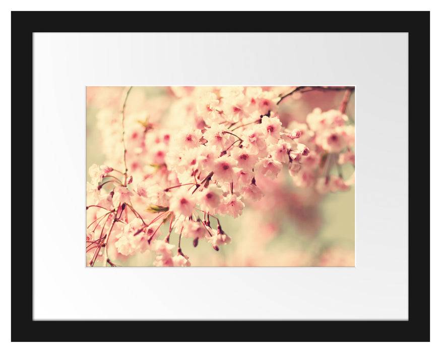 Pixxprint Kirschblüten, im Galerie-Passepartout Bilderrahmen Black Friday