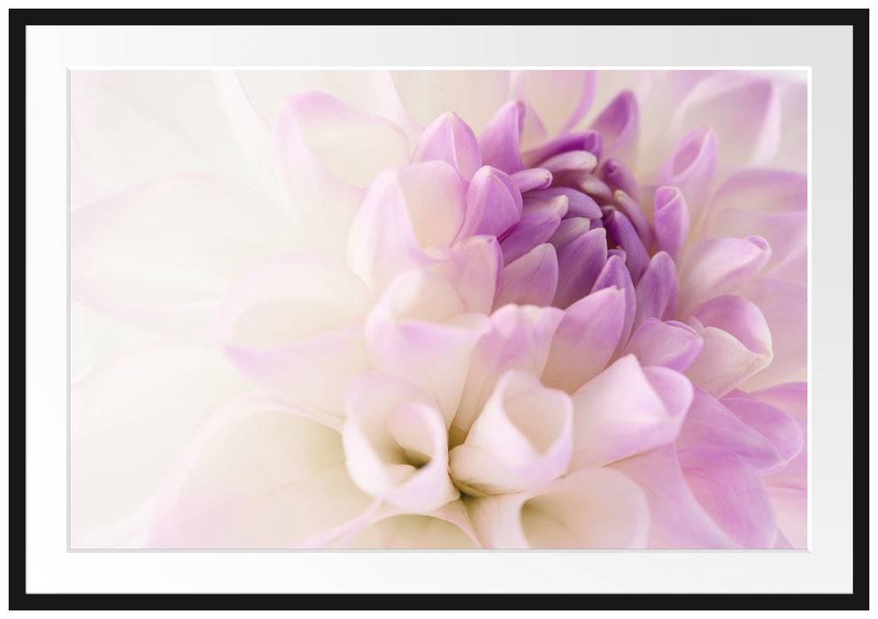 Pixxprint Traumhafte lila weiße Blüte, im Galerie-Passepartout Bilderrahmen