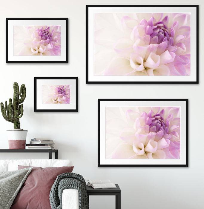 Pixxprint Traumhafte lila weiße Blüte, im Galerie-Passepartout Bilderrahmen Weihnachtsangebot