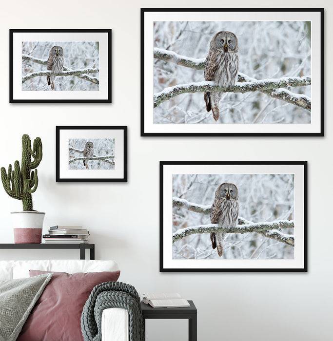 Pixxprint Eule auf Ast, im Galerie-Passepartout Bilderrahmen Osterangebot