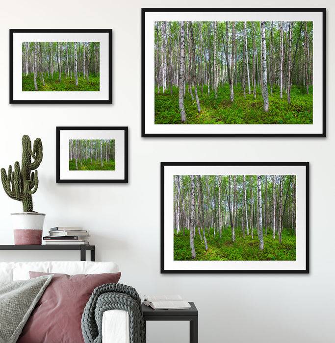 Pixxprint Birkenwald, im Galerie-Passepartout Bilderrahmen Muttertagsangebot
