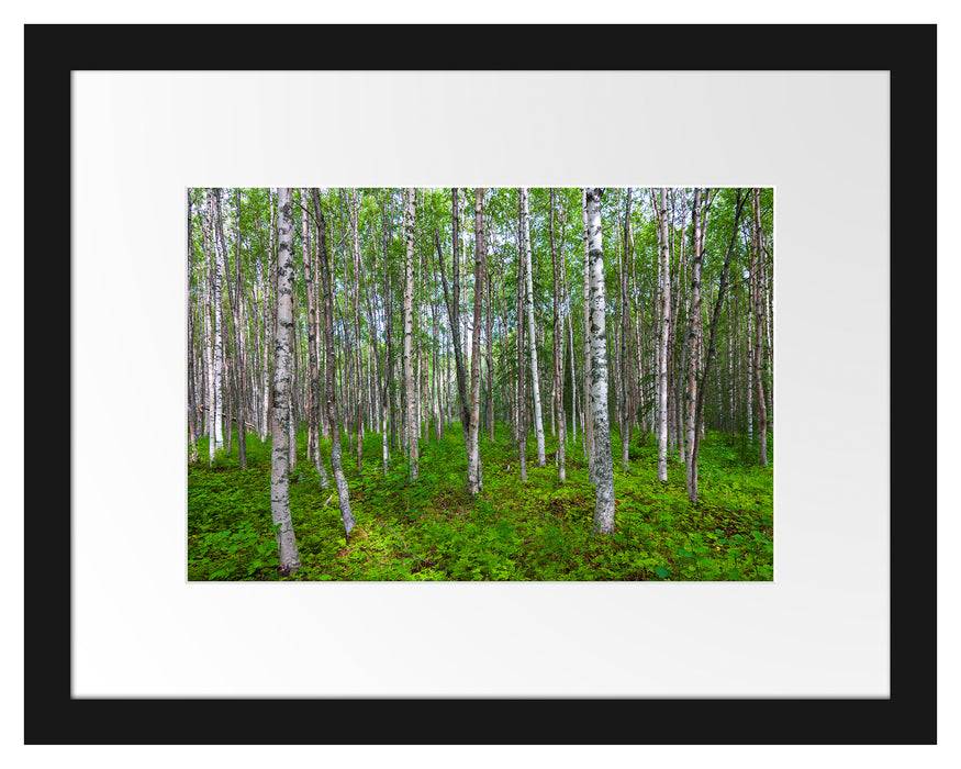 Pixxprint Birkenwald, im Galerie-Passepartout Bilderrahmen Muttertagsangebot