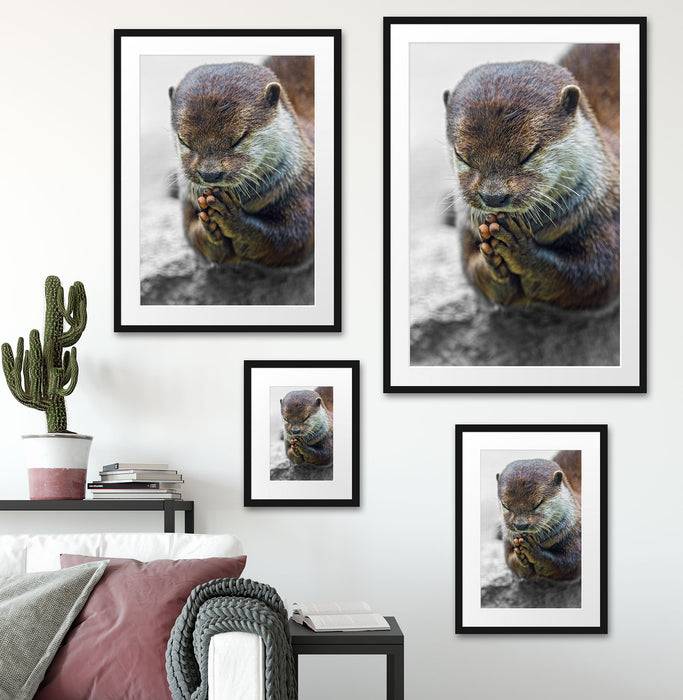 Pixxprint anmutiger kleiner Zwergotter, im Galerie-Passepartout Bilderrahmen Heißer Verkauf