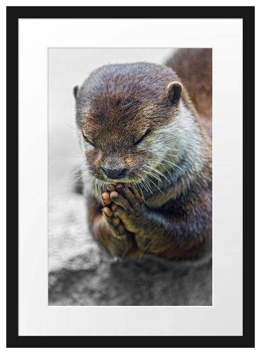 Pixxprint anmutiger kleiner Zwergotter, im Galerie-Passepartout Bilderrahmen Heißer Verkauf