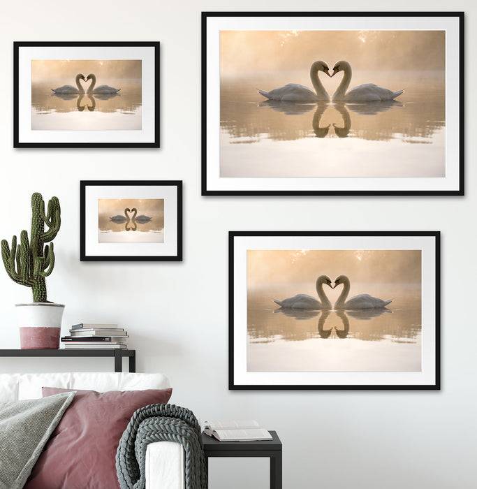 Pixxprint Schwäne im Morgengrauen, im Galerie-Passepartout Bilderrahmen Neuheiten