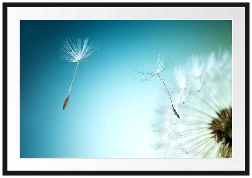 Pixxprint Löwenzahn Pusteblume, im Galerie-Passepartout Bilderrahmen Saisonale Angebote