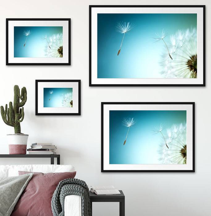 Pixxprint Löwenzahn Pusteblume, im Galerie-Passepartout Bilderrahmen Saisonale Angebote