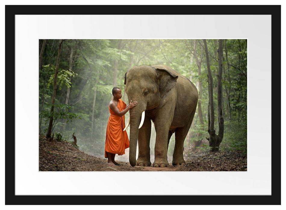 Pixxprint wunderschöner Elefant mit Mönch, im Galerie-Passepartout Bilderrahmen Räumungsverkauf