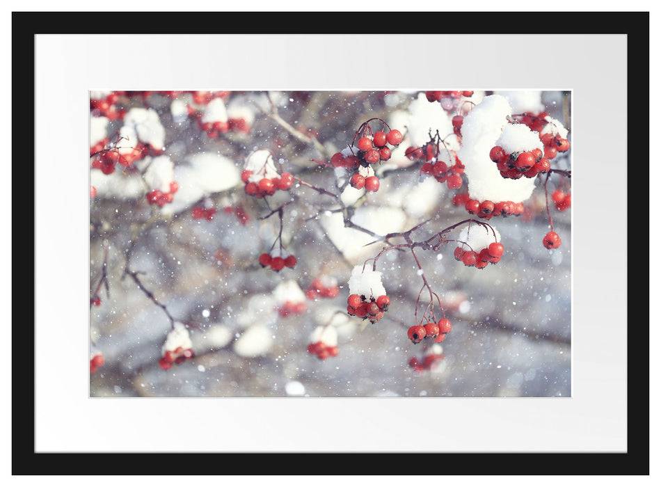 Pixxprint Vogelbeeren mit Schnee bedeckt, im Galerie-Passepartout Bilderrahmen Tägliche Deals