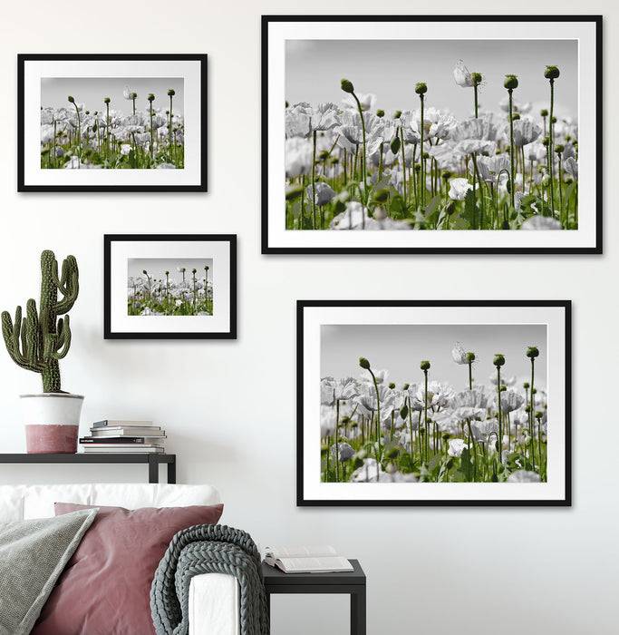Pixxprint Blumenwiese Mohnblumen, im Galerie-Passepartout Bilderrahmen VIP-Rabatte